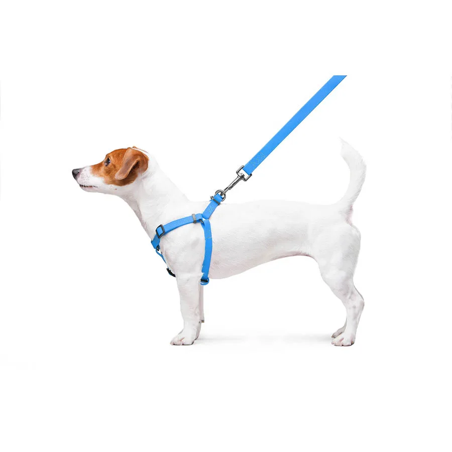 Шлея WAUDOG Waterproof 15 мм Collartex 40-55 см блакитна