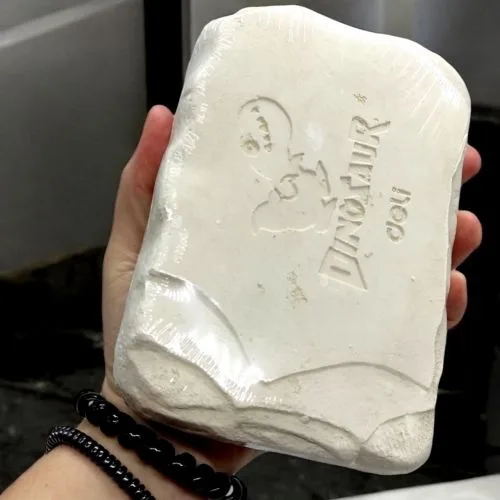 Набір для розкопок динозавра T-Rex Deli для дітей від 6 років з гіпсовим блоком і інструментами