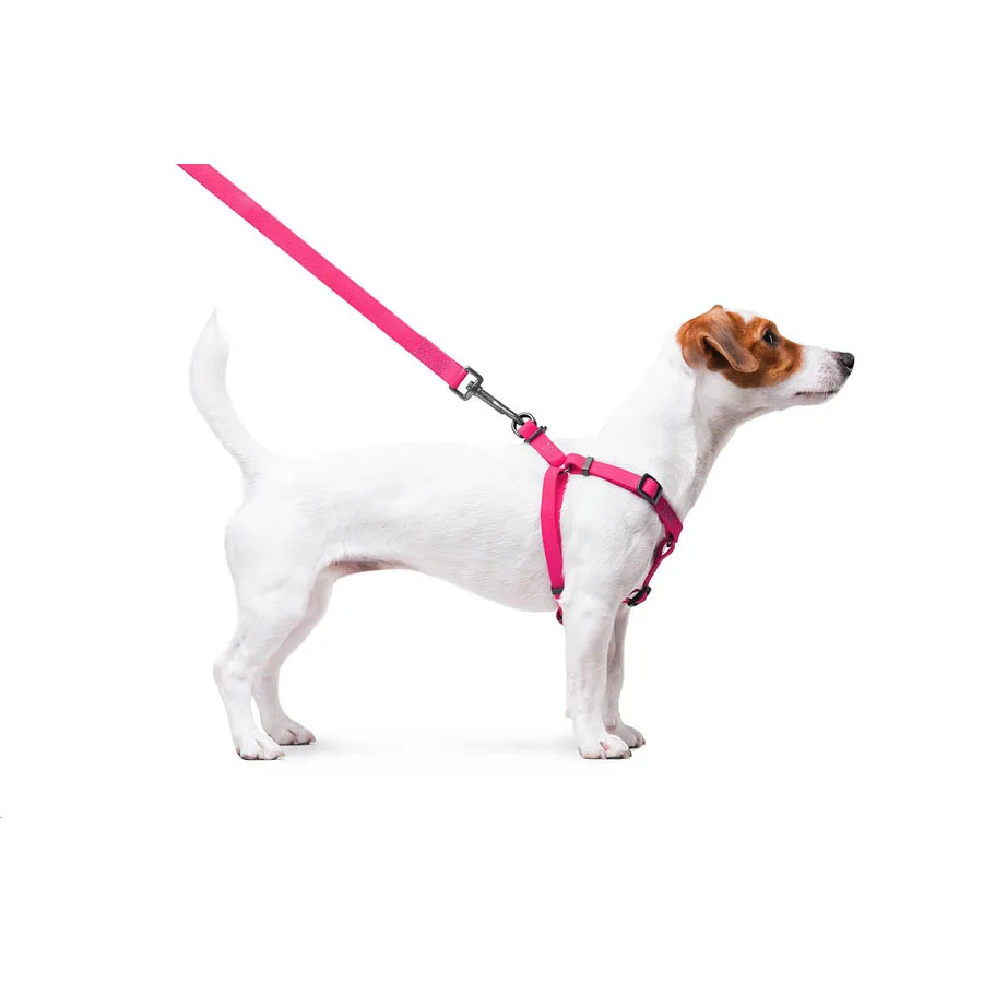 Шлея WAUDOG Waterproof 15 мм Collartex S 40-55 см рожевий