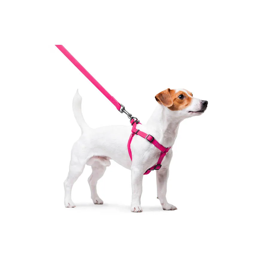 Шлея WAUDOG Waterproof 15 мм Collartex S 40-55 см рожевий