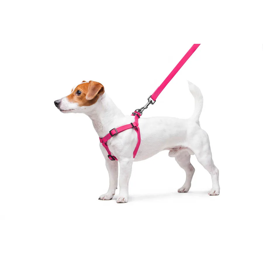 Шлея WAUDOG Waterproof 15 мм Collartex S 40-55 см рожевий