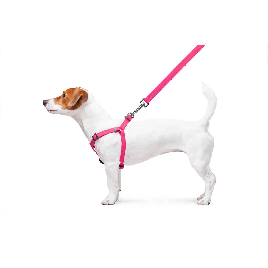Шлея WAUDOG Waterproof 15 мм Collartex S 40-55 см рожевий