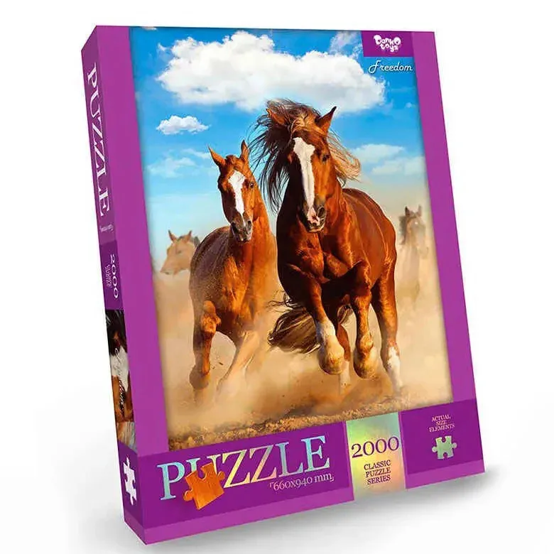 Пазл Danko Toys 2000 елементів картон 60x94 см багатокольоровий