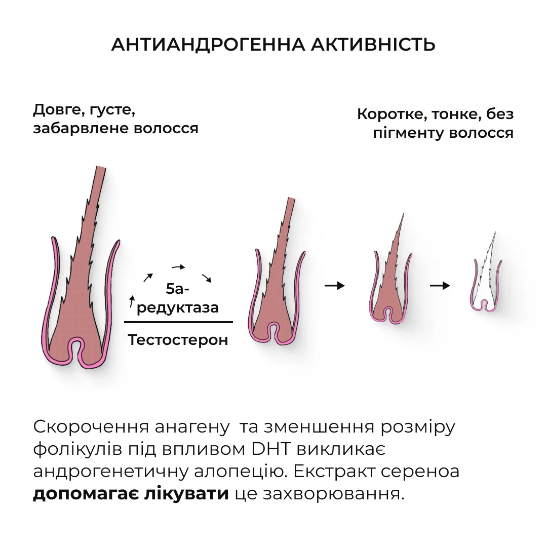 Шампунь + Кондиціонер Hillary Serenoa & РР Hair Loss Control, 500 мл